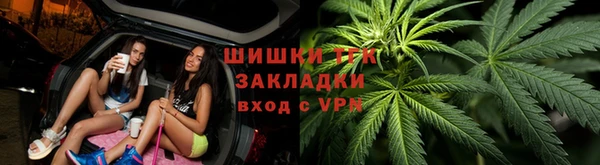 сатива Ростов