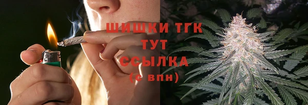 индика Бронницы