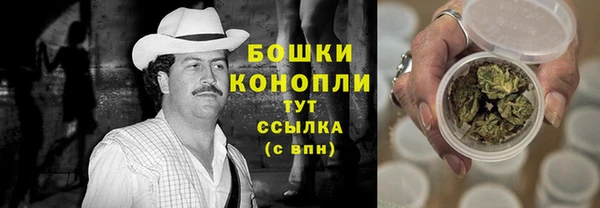 индика Бронницы