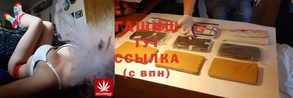 сатива Ростов