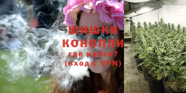 стаф Приозерск